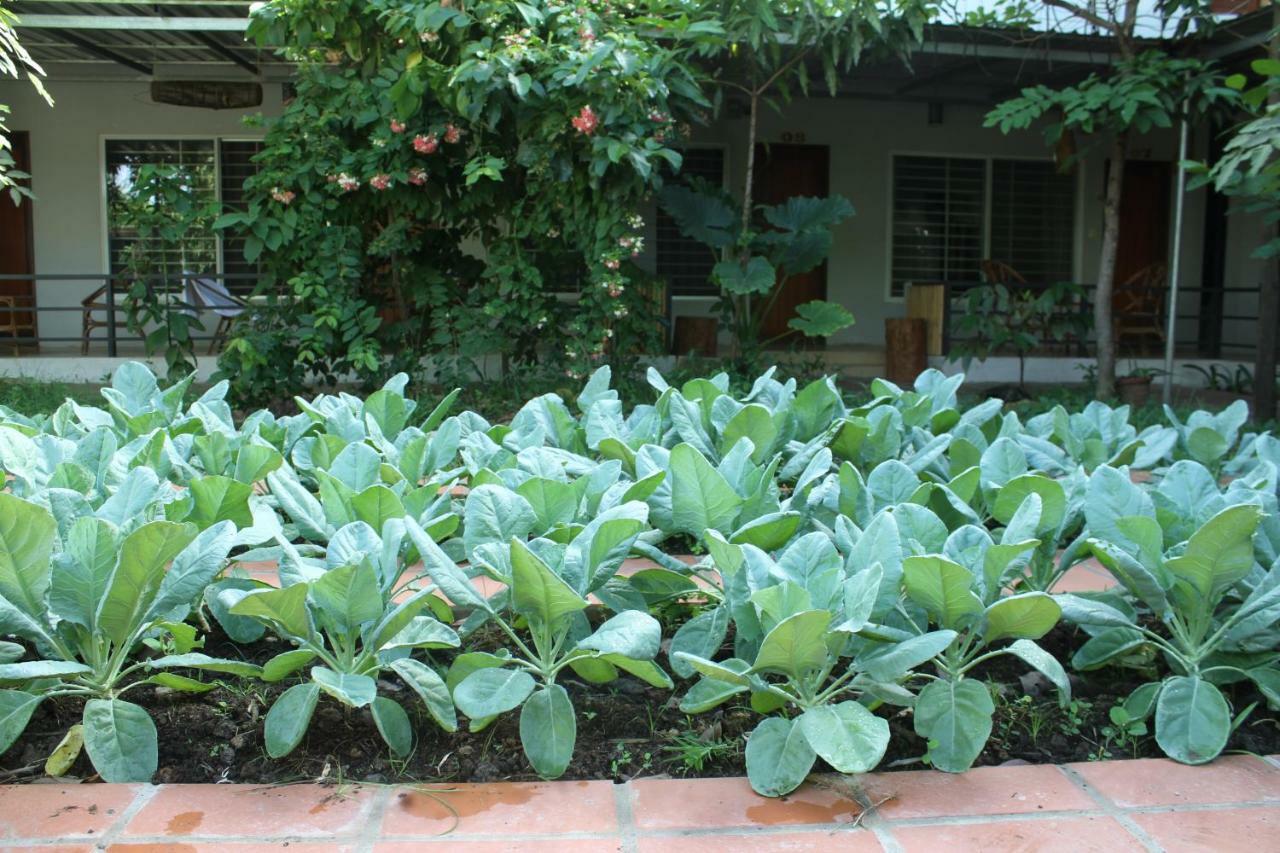 My Parents Guesthouse Kampot Exterior foto