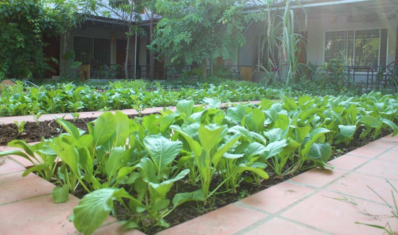 My Parents Guesthouse Kampot Exterior foto