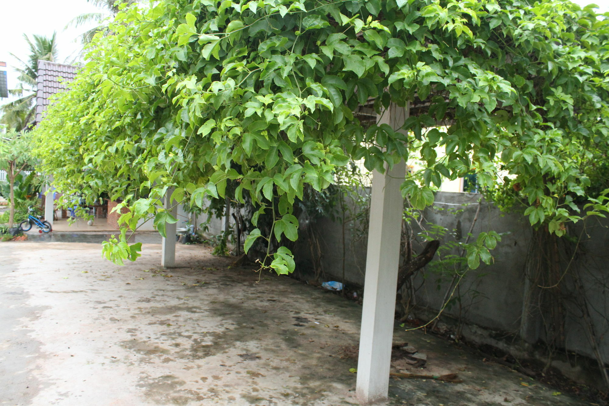 My Parents Guesthouse Kampot Exterior foto